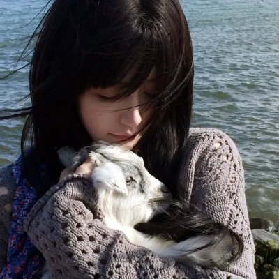托托的色彩美学观
